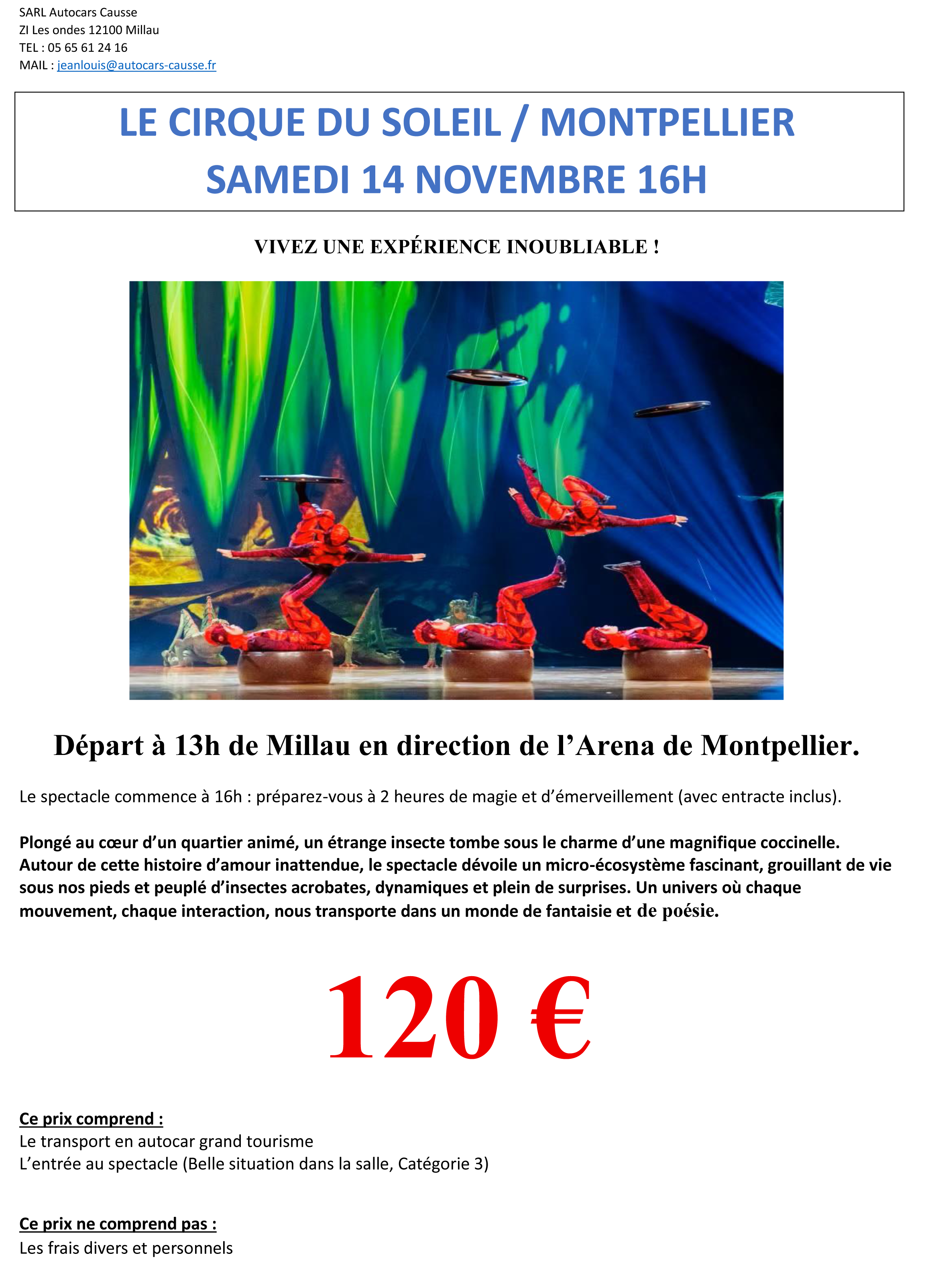 Cirque du Soleil Individuel.png